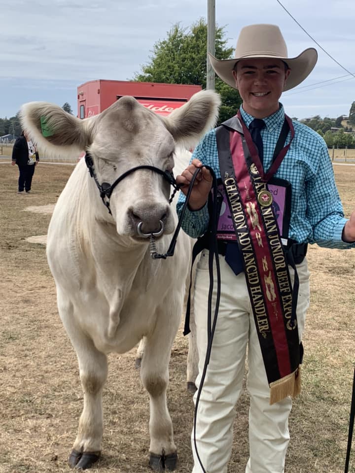 Grand Champion Parader  Image